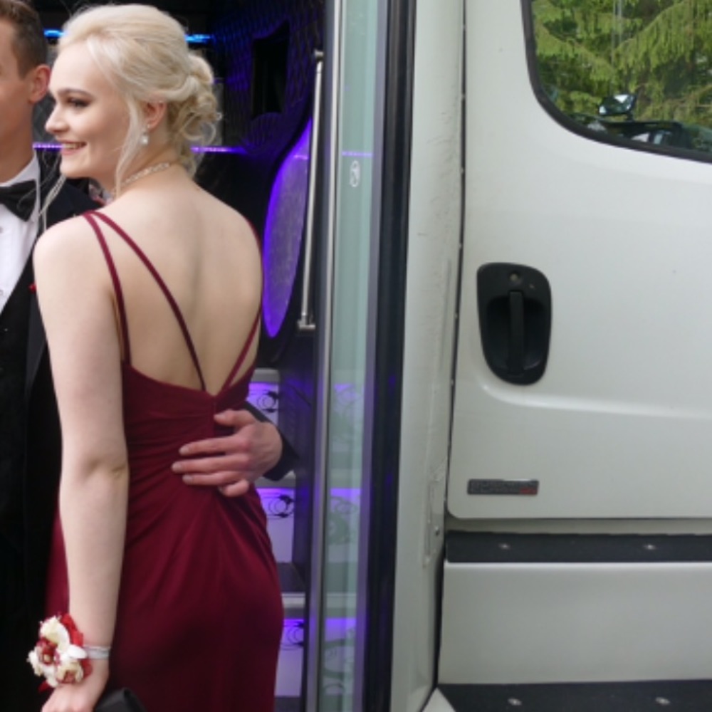 Faviana V-neck Ruched Open Back Floor Length Gown - Picture 3 of 5